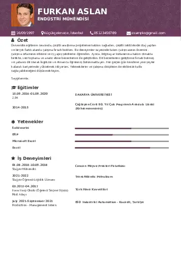 Endüstri Mühendisi CV Örnekleri cv indir